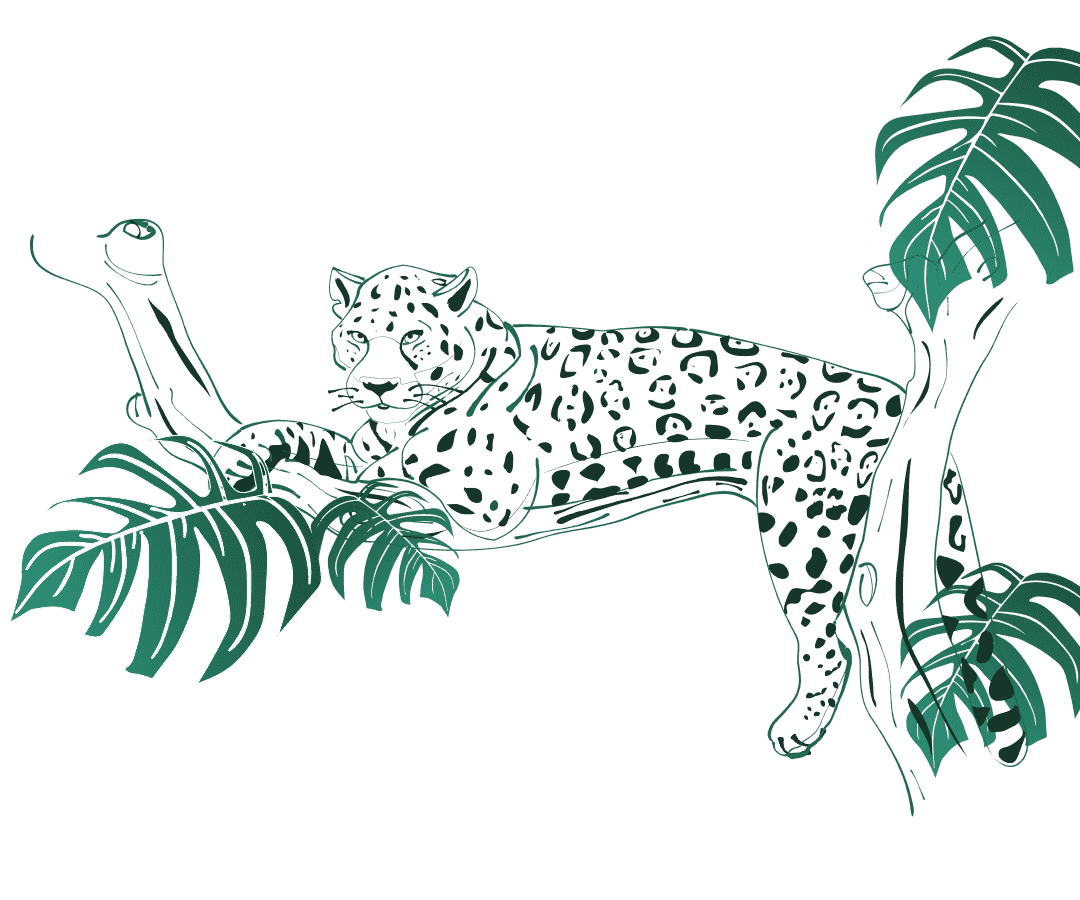 Ilustracion Jaguar (Panthera Onca)